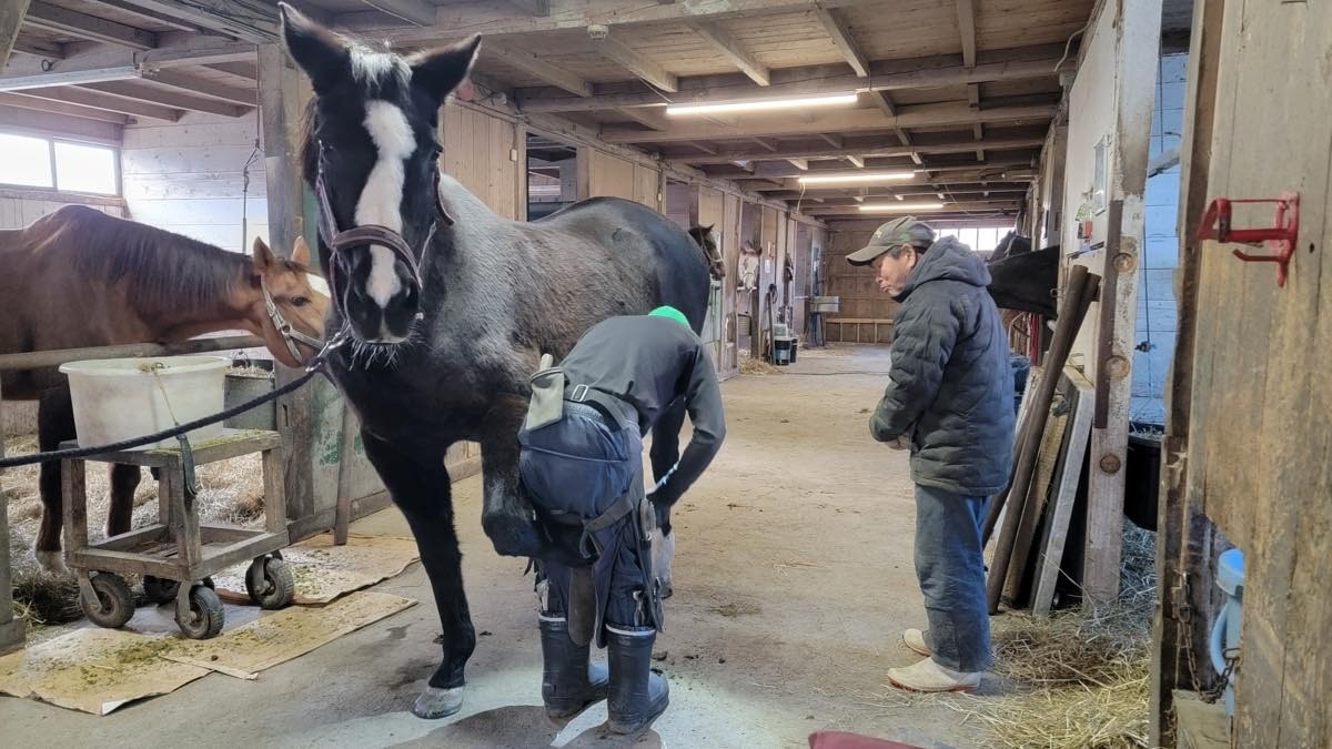 4fb894dd353c41f1adf63a2736c4078d-1765760834.jpg 4fb894dd353c41f1adf63a2736c4078d-1765760834.jpg